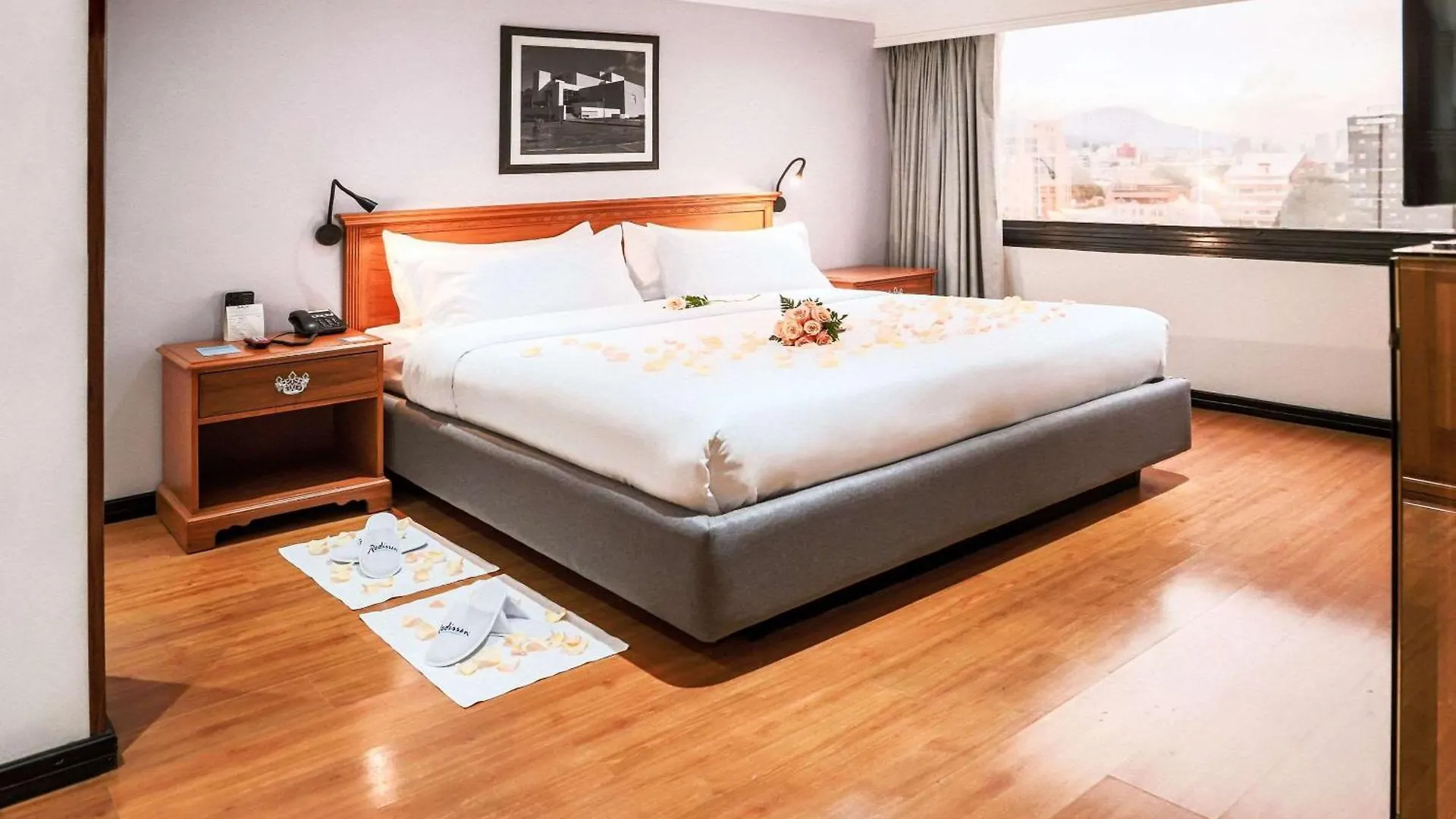 Radisson Bogota Metrotel Hotel